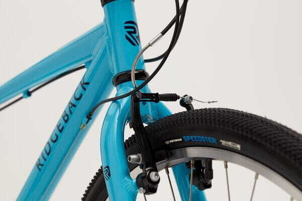 Ridgeback dimension 26 best sale