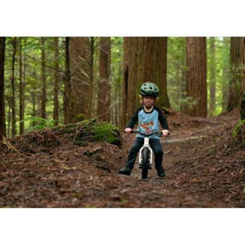 Kids Ride Shotgun Dirt Hero 14" With Brake click to zoom image