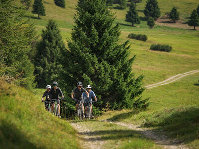 Your Next Ride Awaits! In-Store Bike Sale